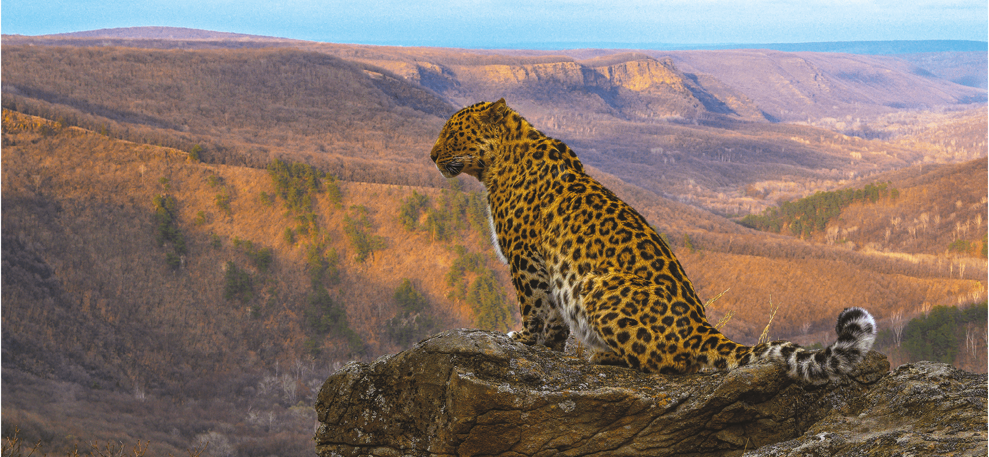 National Park Land of the Leopard